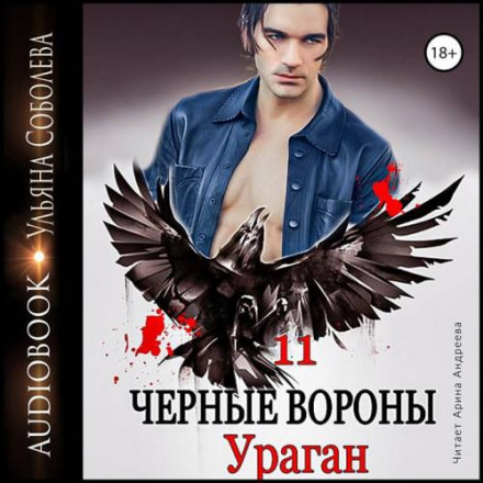 Чёрные вороны. Книга 11. Ураган